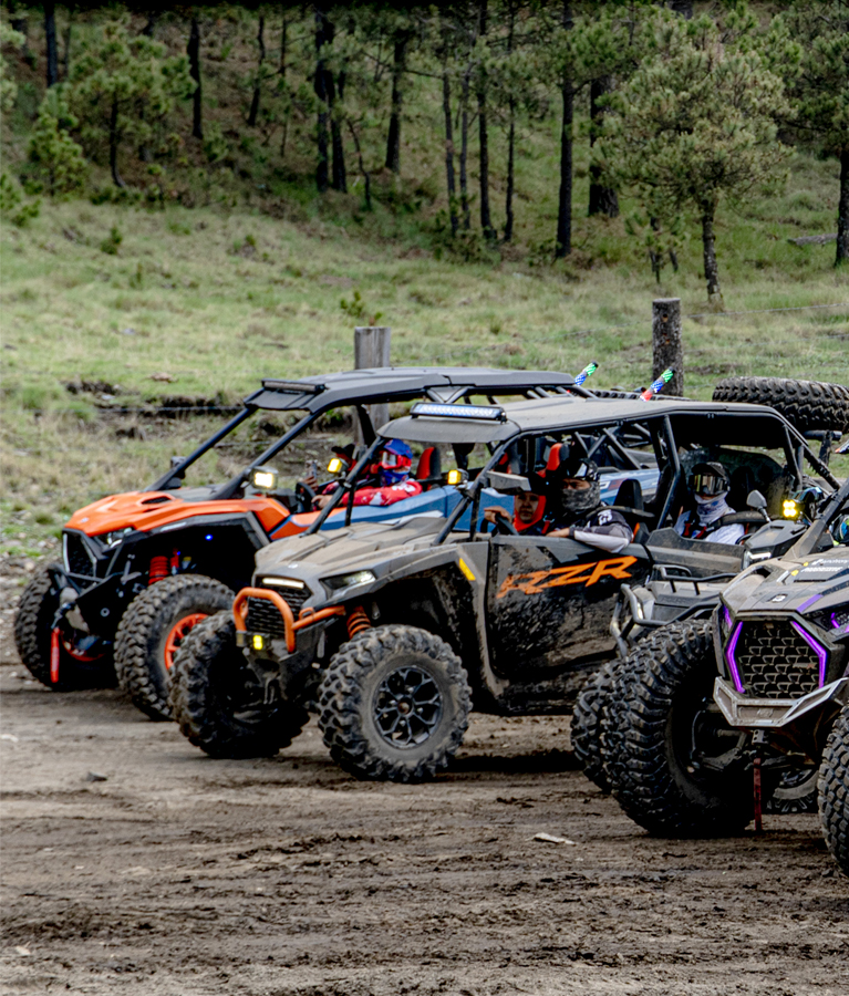 Comunidad Polaris CDMX